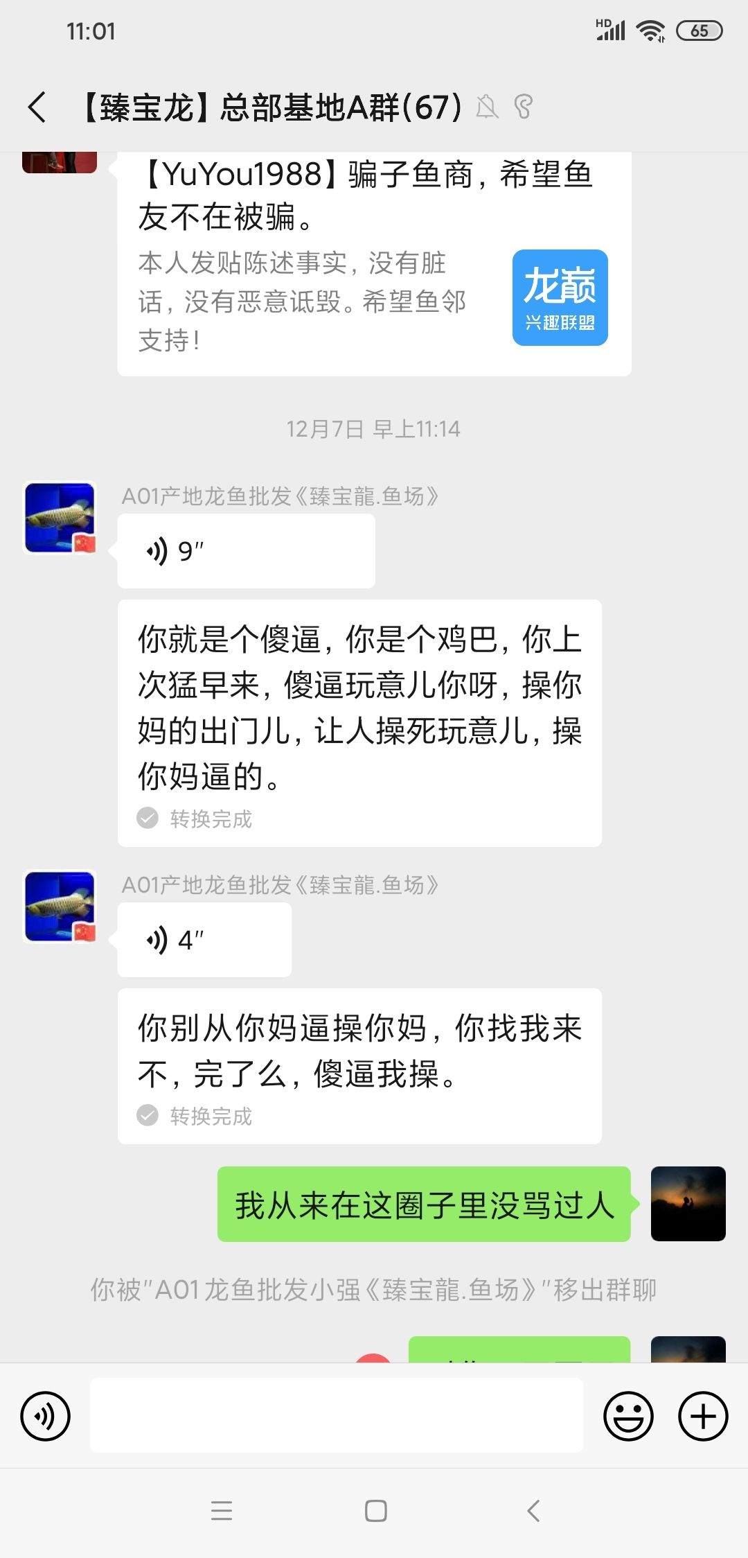 新手必看！臻宝龙后续篇！正义始终存在！ 观赏鱼论坛 第6张