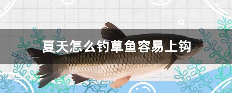 夏天怎么钓草鱼容易上钩 白子银版鱼