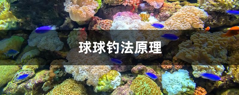 球球钓法原理