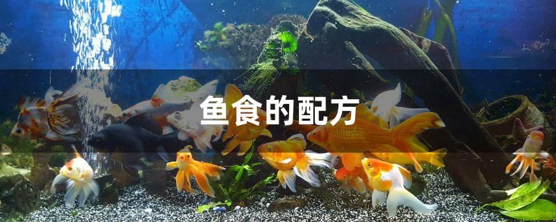 鱼食的配方是什么