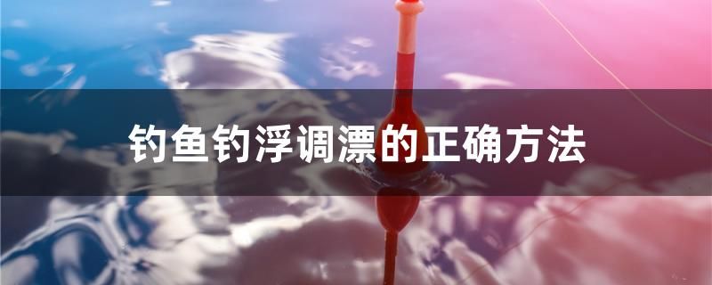 钓鱼钓浮调漂的正确方法