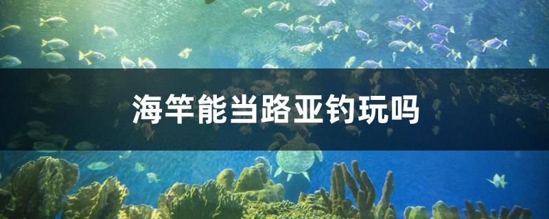 海竿能当路亚钓玩吗