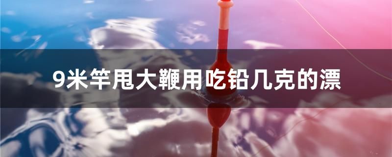 9米竿甩大鞭用吃铅几克的漂