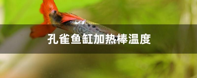 孔雀鱼缸加热棒温度