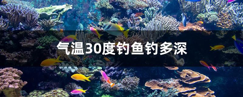 气温30度钓鱼钓多深 撒旦鸭嘴鱼