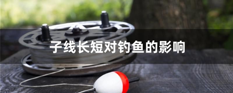 子线长短对钓鱼的影响