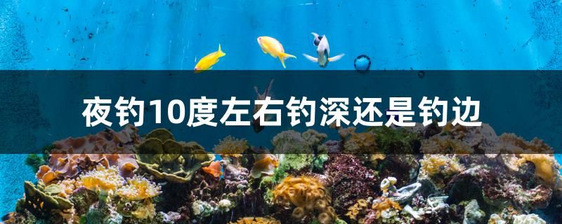 西安买鱼缸去哪里便宜（ 西安买鱼缸批发市场） 赤焰中国虎鱼