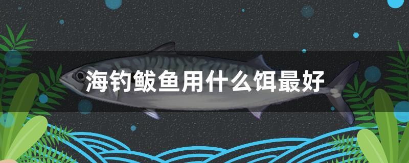 海钓鲅鱼用什么饵最好