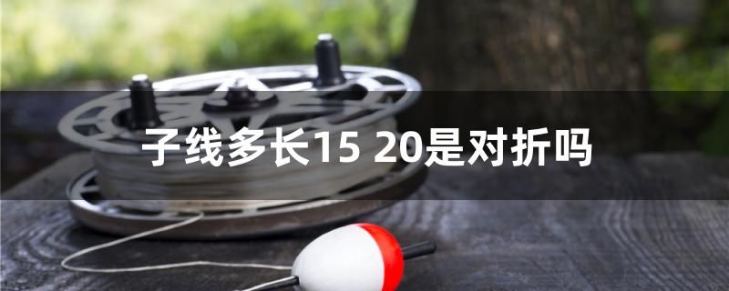 子线多长15 20是对折吗