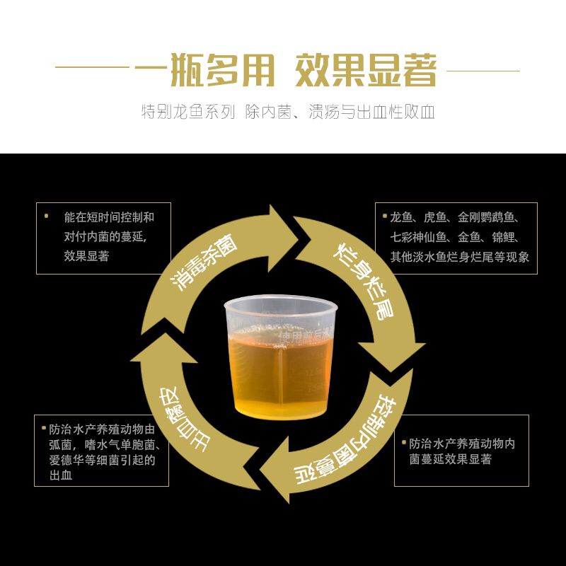 纽利浦杯 观赏鱼论坛 第4张