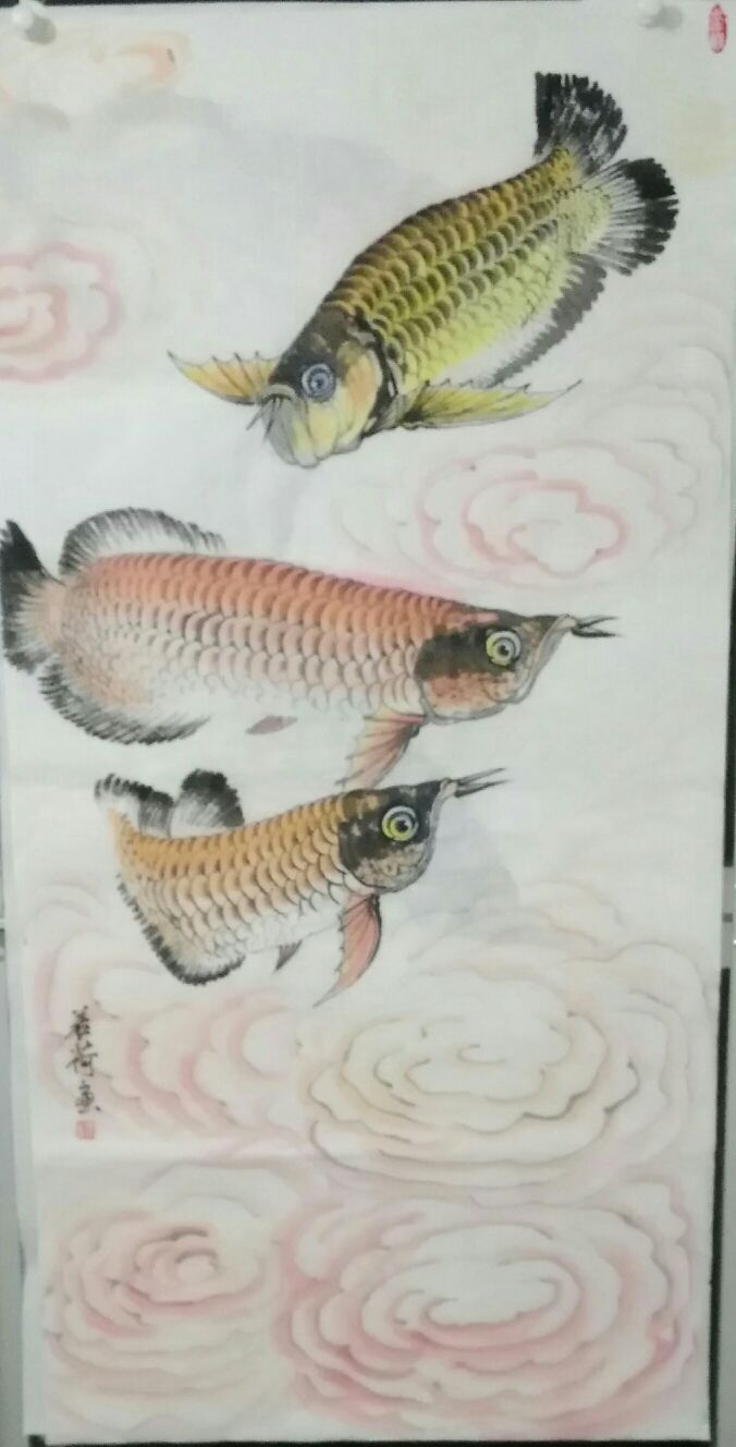 我画的金龙鱼 观赏鱼论坛 第1张