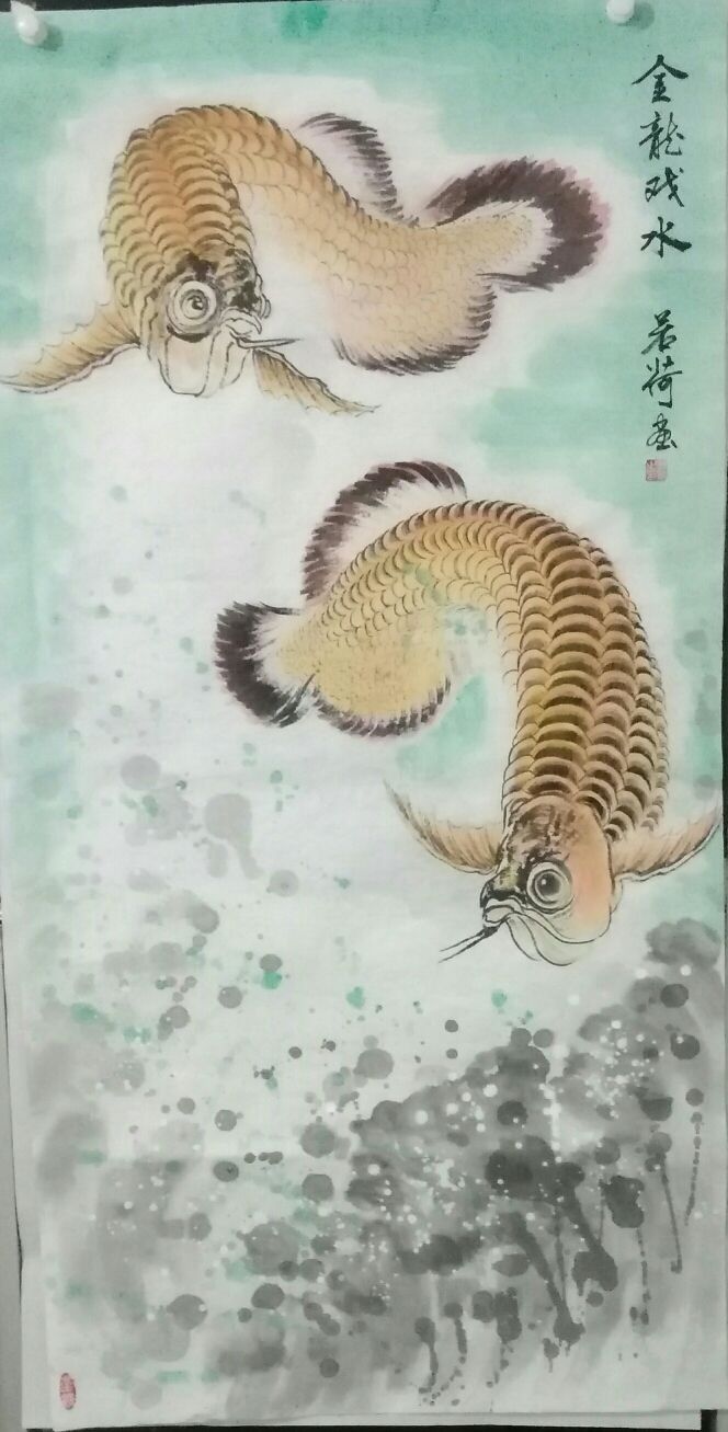 我画的金龙鱼 观赏鱼论坛 第2张