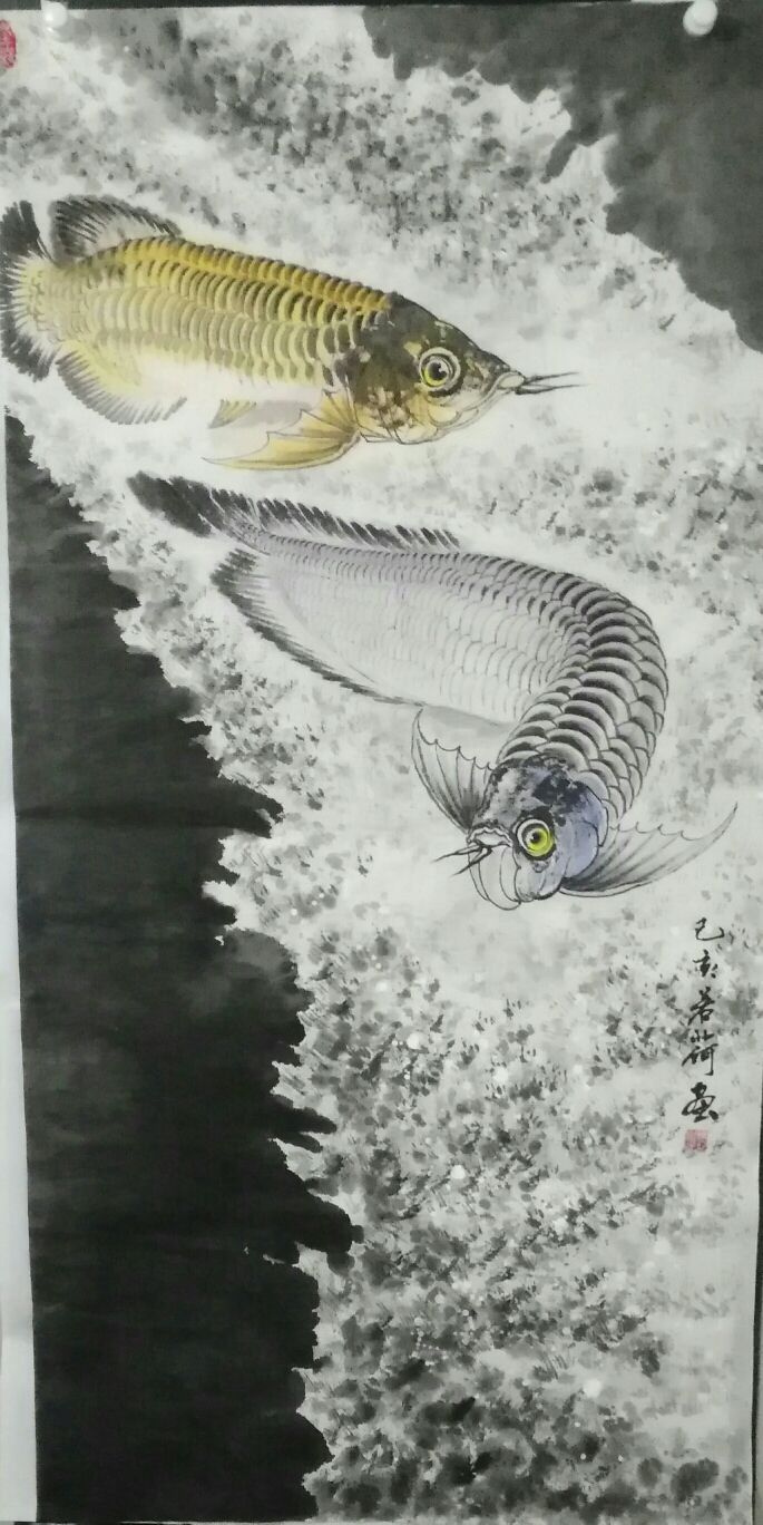 我画的金龙鱼 观赏鱼论坛 第4张