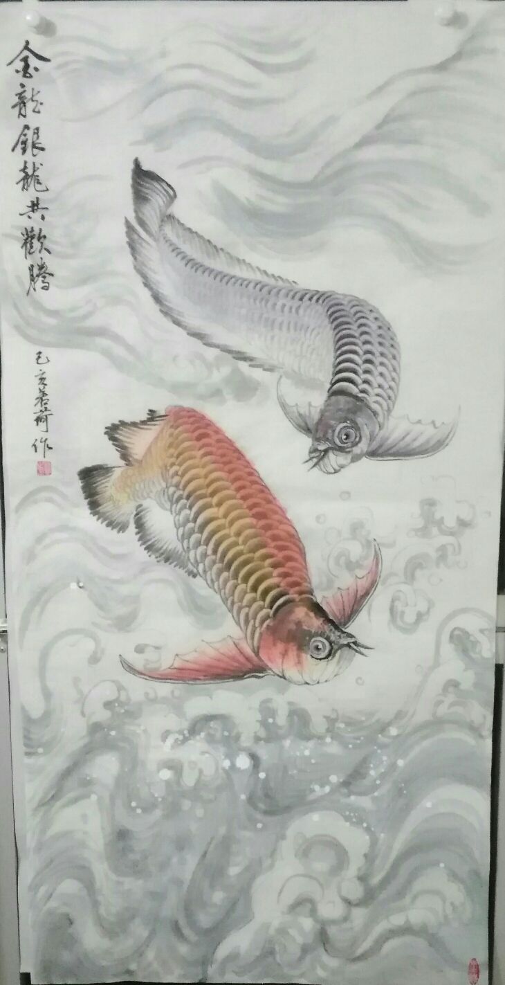 我画的金龙鱼 观赏鱼论坛 第3张