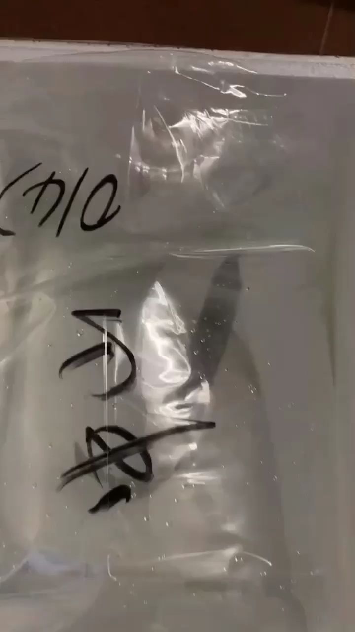 好激动 观赏鱼论坛 第1张