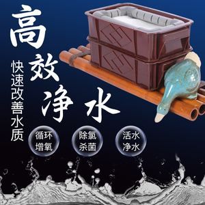 适合小鱼缸的过滤器(小鱼缸过滤用什么材料) 魟鱼百科 第1张