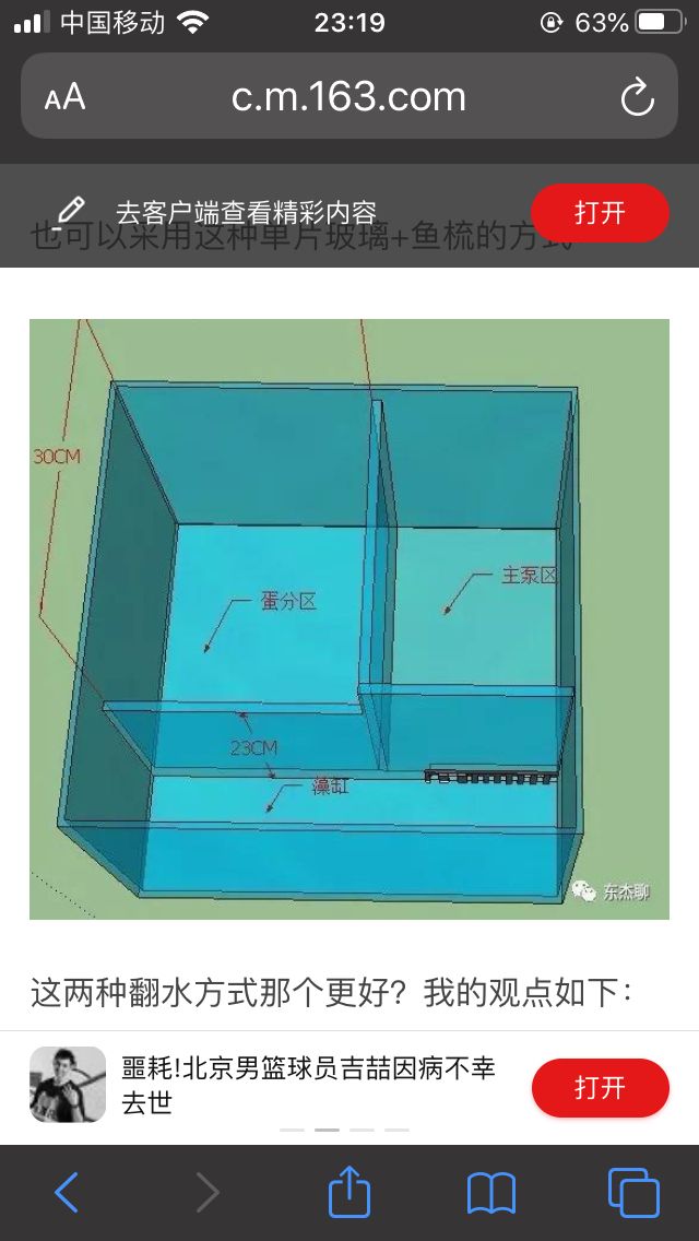 买河沙做底砂不行吗？必须用菲律宾沙吗 观赏鱼论坛 第1张