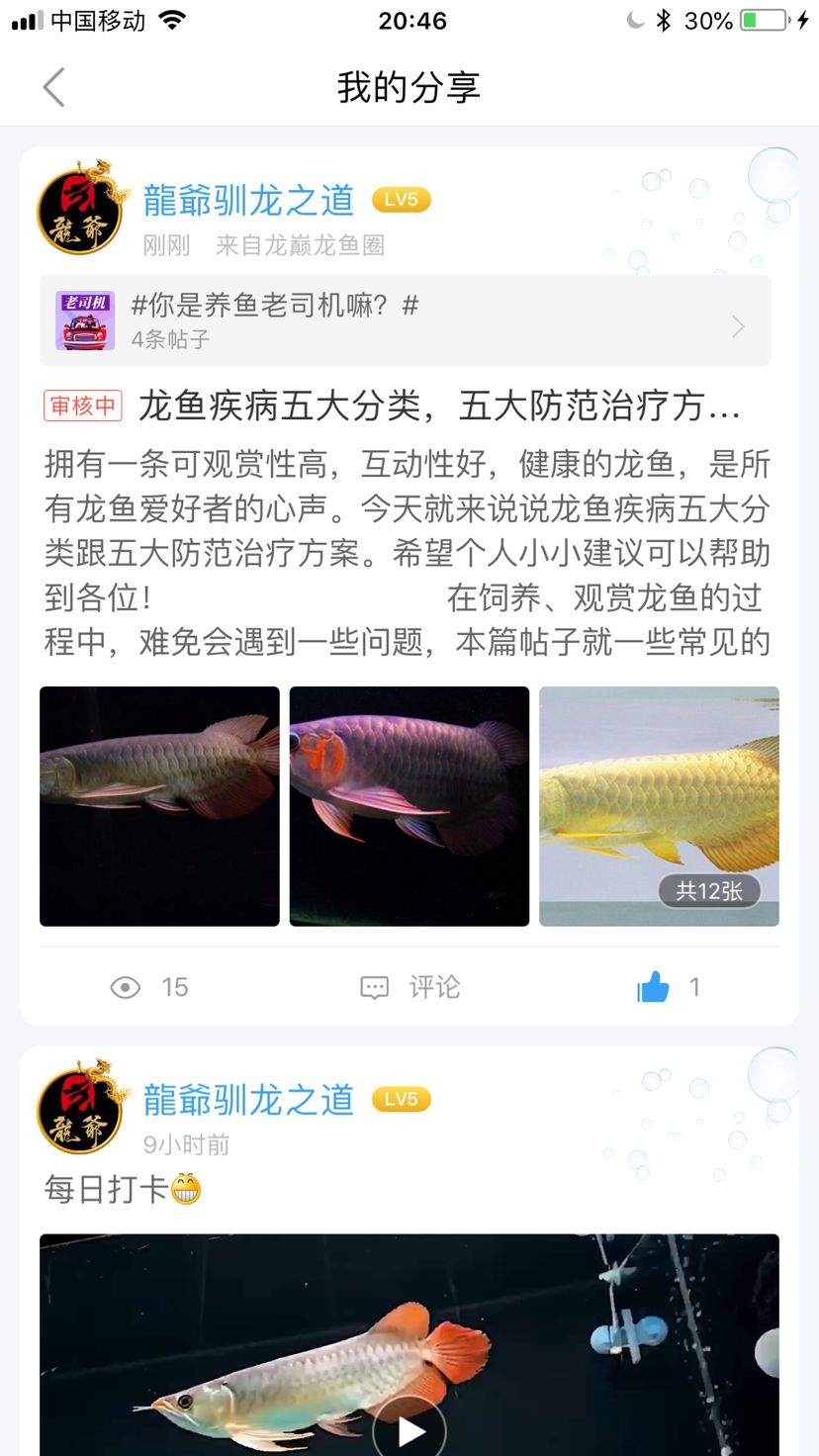 抱歉大家！长帖不想发了 观赏鱼论坛 第1张