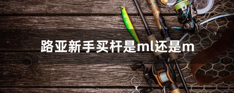 路亚新手买杆是ml还是m