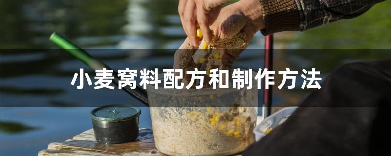 小麦窝料配方和制作方法