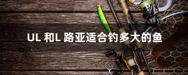 UL 和L 路亚适合钓多大的鱼 祥龙水族滤材/器材 第1张