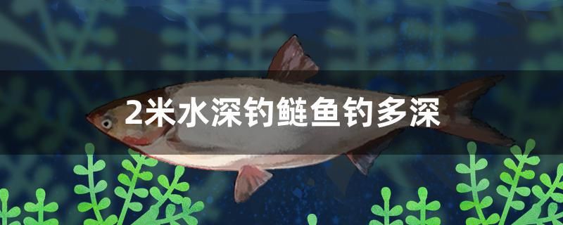 2米水深钓鲢鱼钓多深