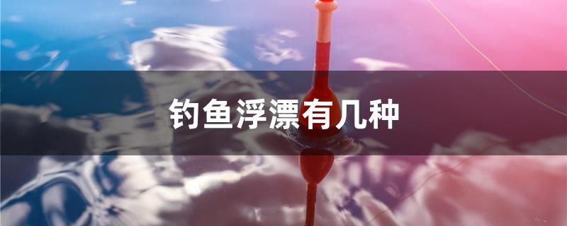 钓鱼浮漂有几种