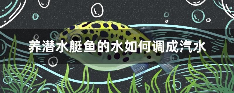 养潜水艇鱼的水如何调成汽水 黄宽带蝴蝶鱼 第1张