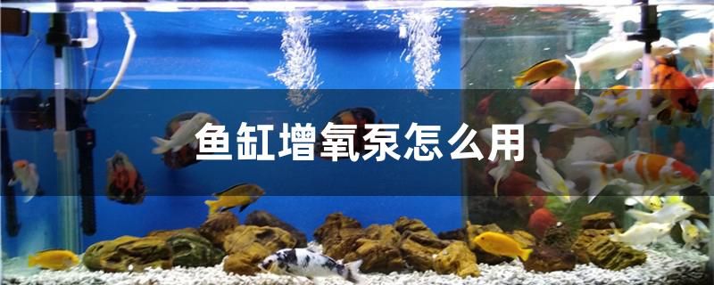 鱼缸增氧泵怎么用