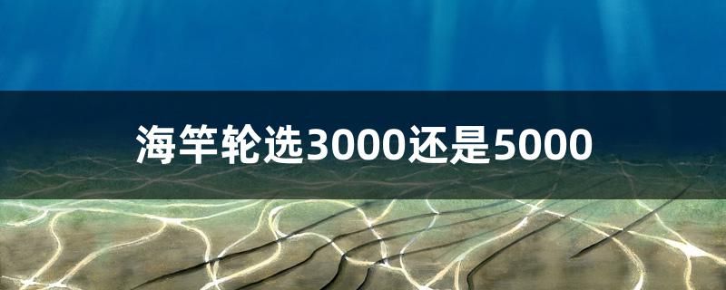 海竿轮选3000还是5000 印尼小红龙 第1张