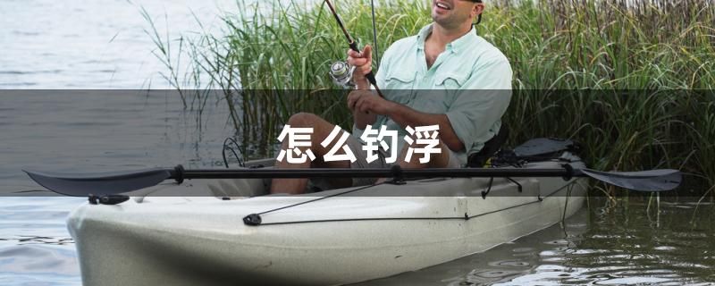 怎么钓浮 过背金龙鱼 第1张