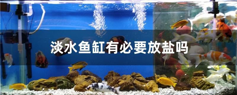 淡水鱼缸有必要放盐吗