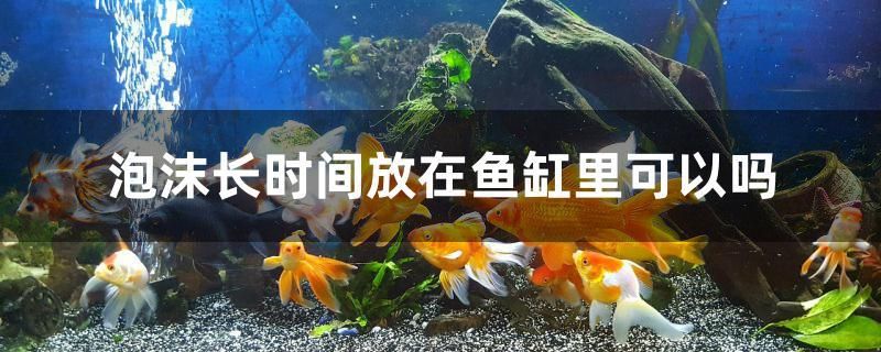 泡沫长时间放在鱼缸里可以吗 水温计 第1张