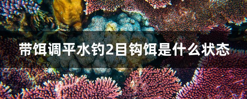 带饵调平水钓2目钩饵是什么状态 黑金魟鱼 第1张