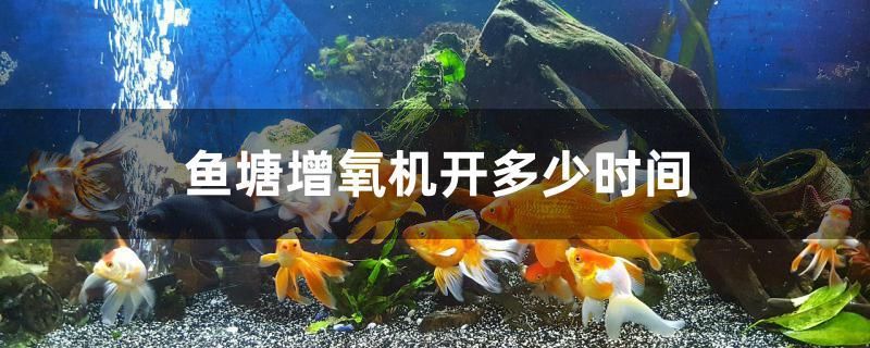 鱼塘增氧机开多少时间 潜水艇鱼 第1张