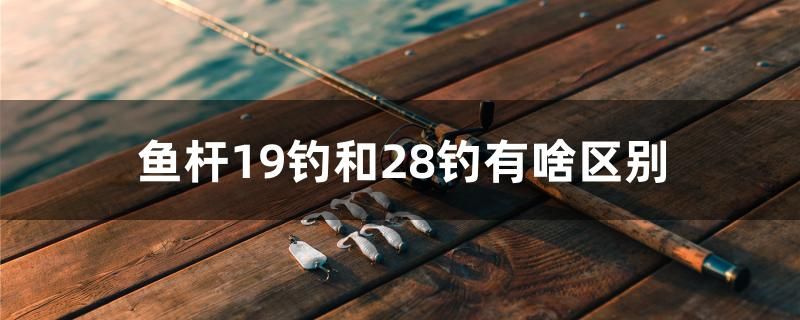 鱼杆19钓和28钓有啥区别 泰庞海鲢鱼 第1张