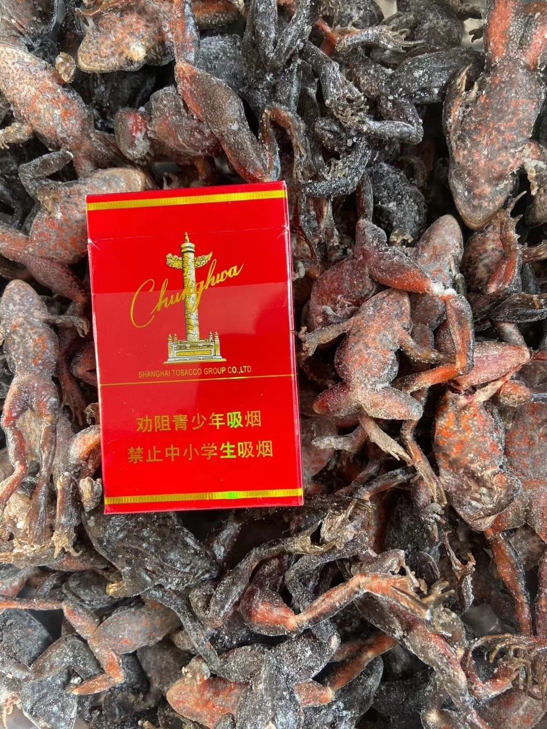 单冻小林哇！ 观赏鱼论坛 第1张