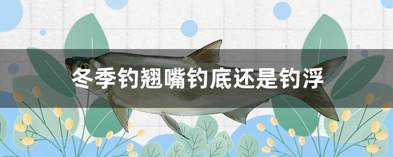 冬季钓翘嘴钓底还是钓浮 水温计 第1张