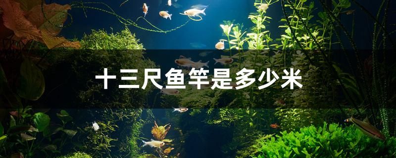 十三尺鱼竿是多少米 生态瓶/创意缸/桌面微景缸 第1张