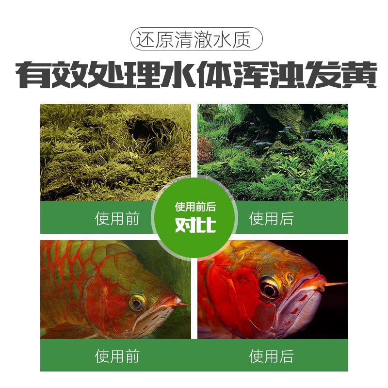 纽利浦净水宝 观赏鱼论坛 第3张