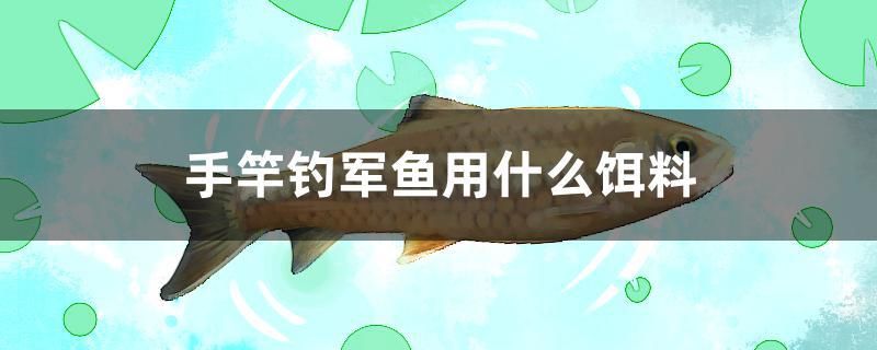 手竿钓军鱼用什么饵料 广州祥龙国际水族贸易 第1张