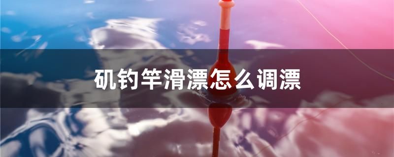 小型鱼缸视频教程（小型鱼缸视频教程全集） 巨骨舌鱼