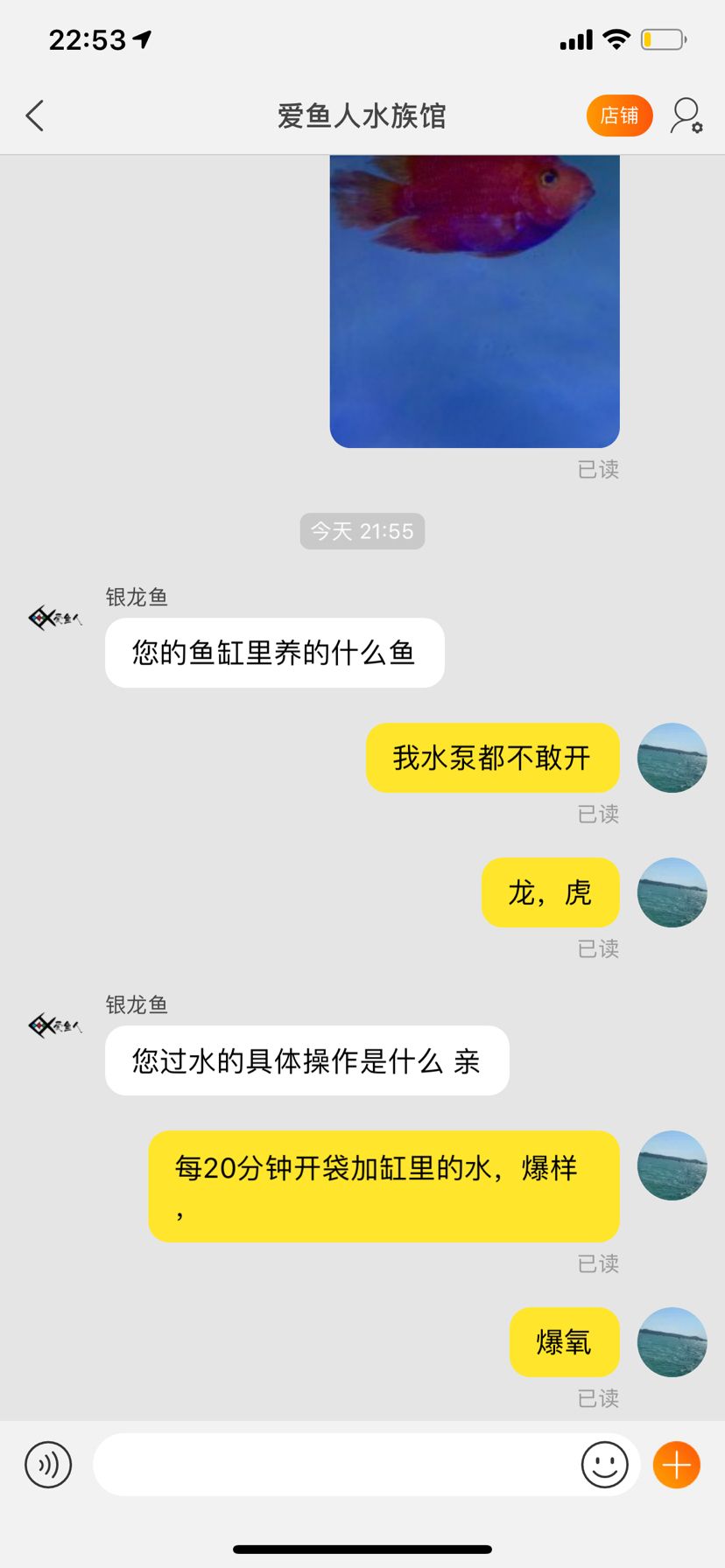 请教鱼友帮忙分析下是我过水问题吗 观赏鱼论坛 第6张