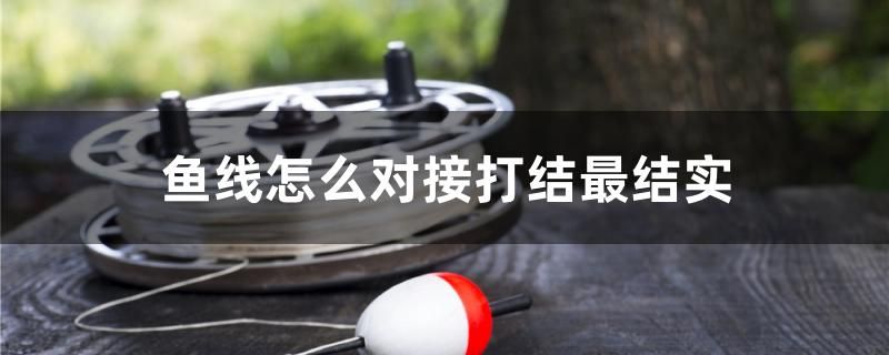 鱼线怎么对接打结最结实 非洲金鼓鱼 第1张