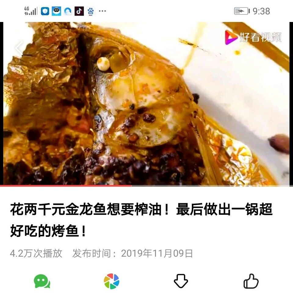 鱼缸过滤系统拆洗后重张怎么么反应(鱼缸过滤器清洗后怎么不能用了)