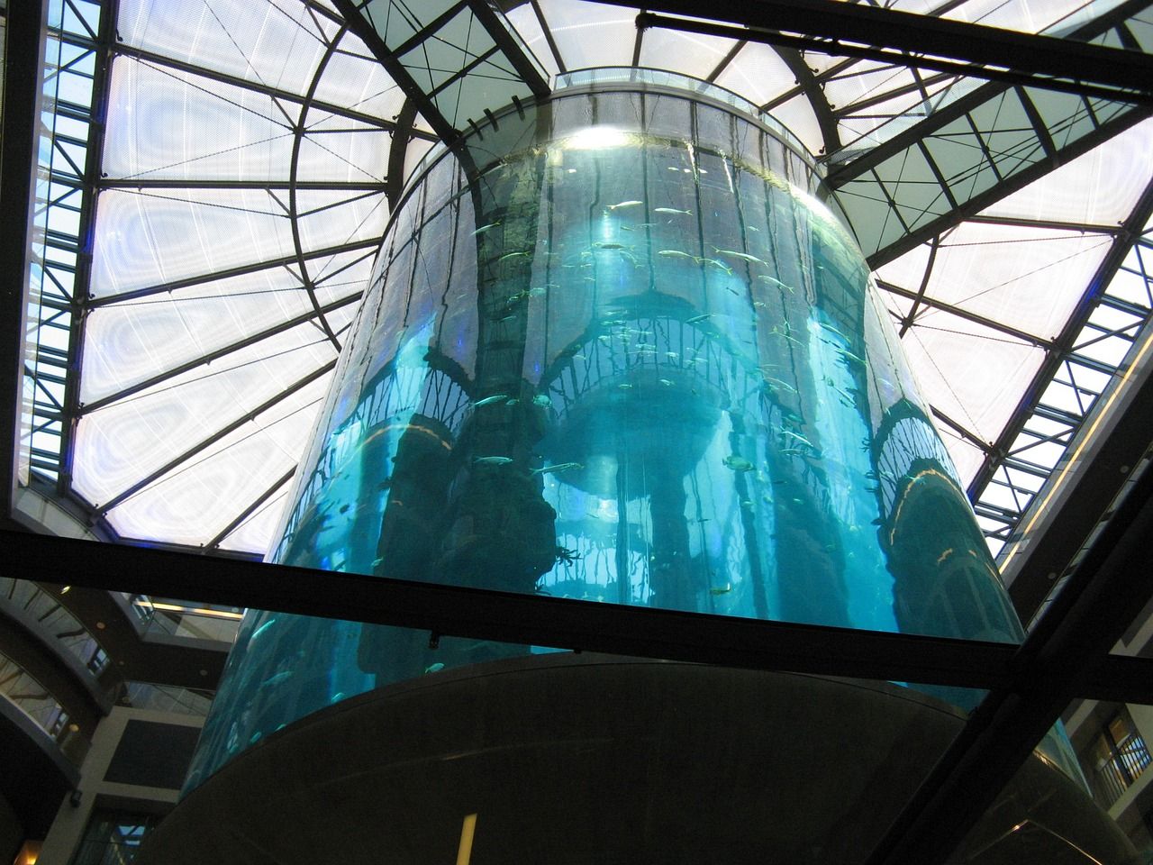 临沂最大的水族批发市场在哪里啊多少钱（临沂水族鱼缸批发地址） 鱼缸水质稳定剂 第1张