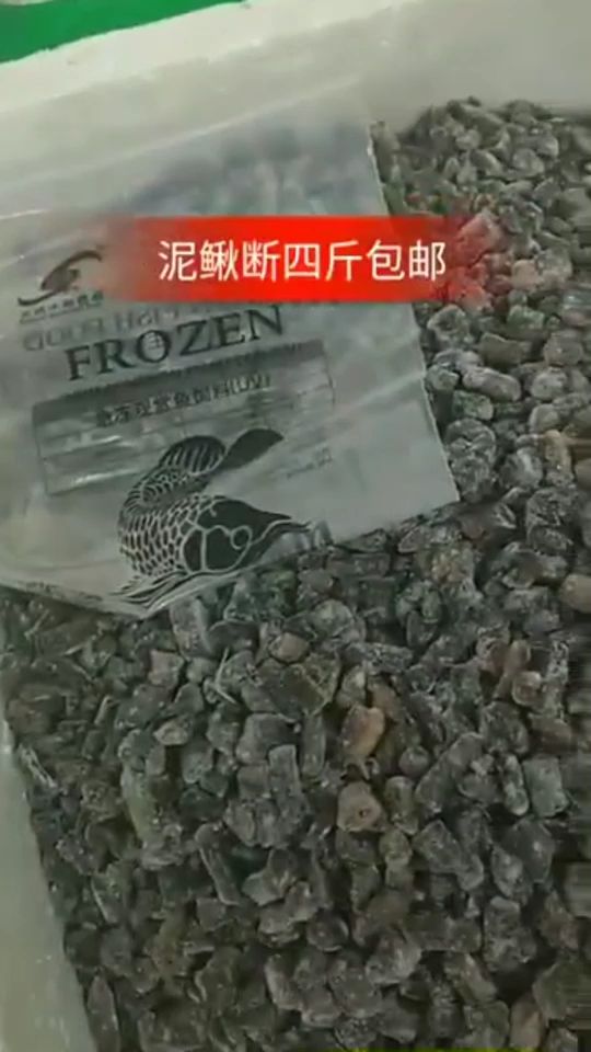 泥鳅段！ 观赏鱼论坛 第1张