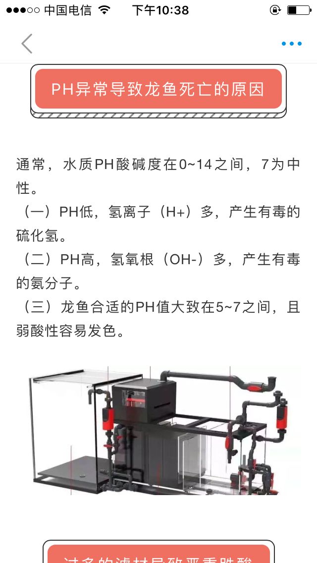 这帖子不能评论，但是没看懂。 观赏鱼论坛 第1张