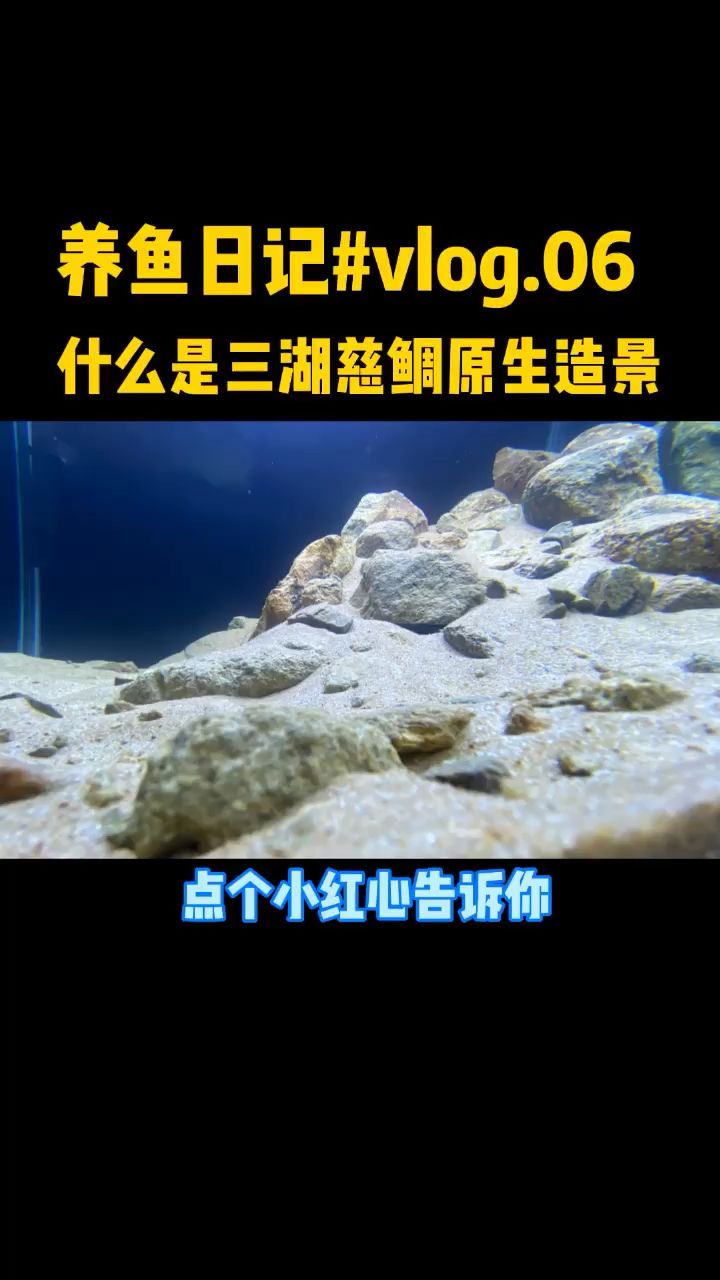 今天开一个三湖慈鲷原生缸先 观赏鱼论坛 第1张