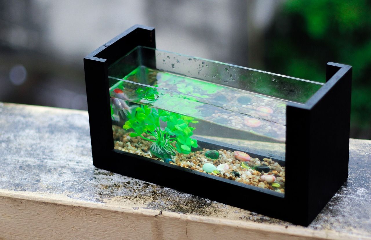 鱼缸玻璃开孔器怎么用视频讲解图（鱼缸玻璃胶如何去除）